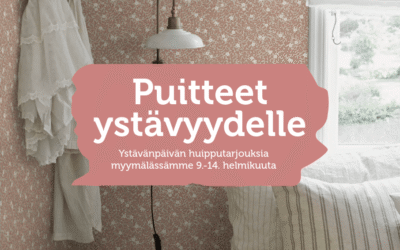 Puitteet ystävyydelle Värisilmästä